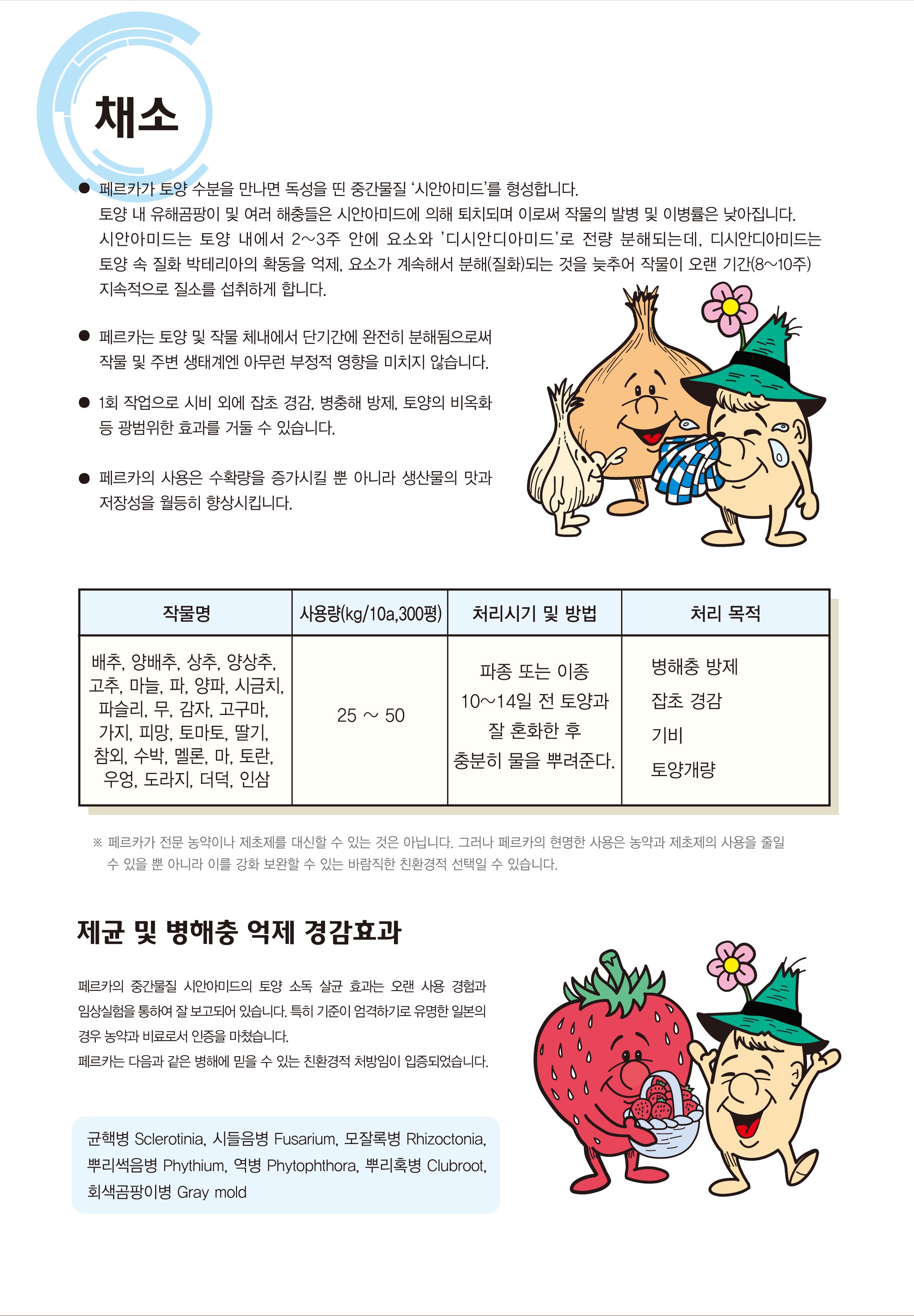 페르카 팜플렛3